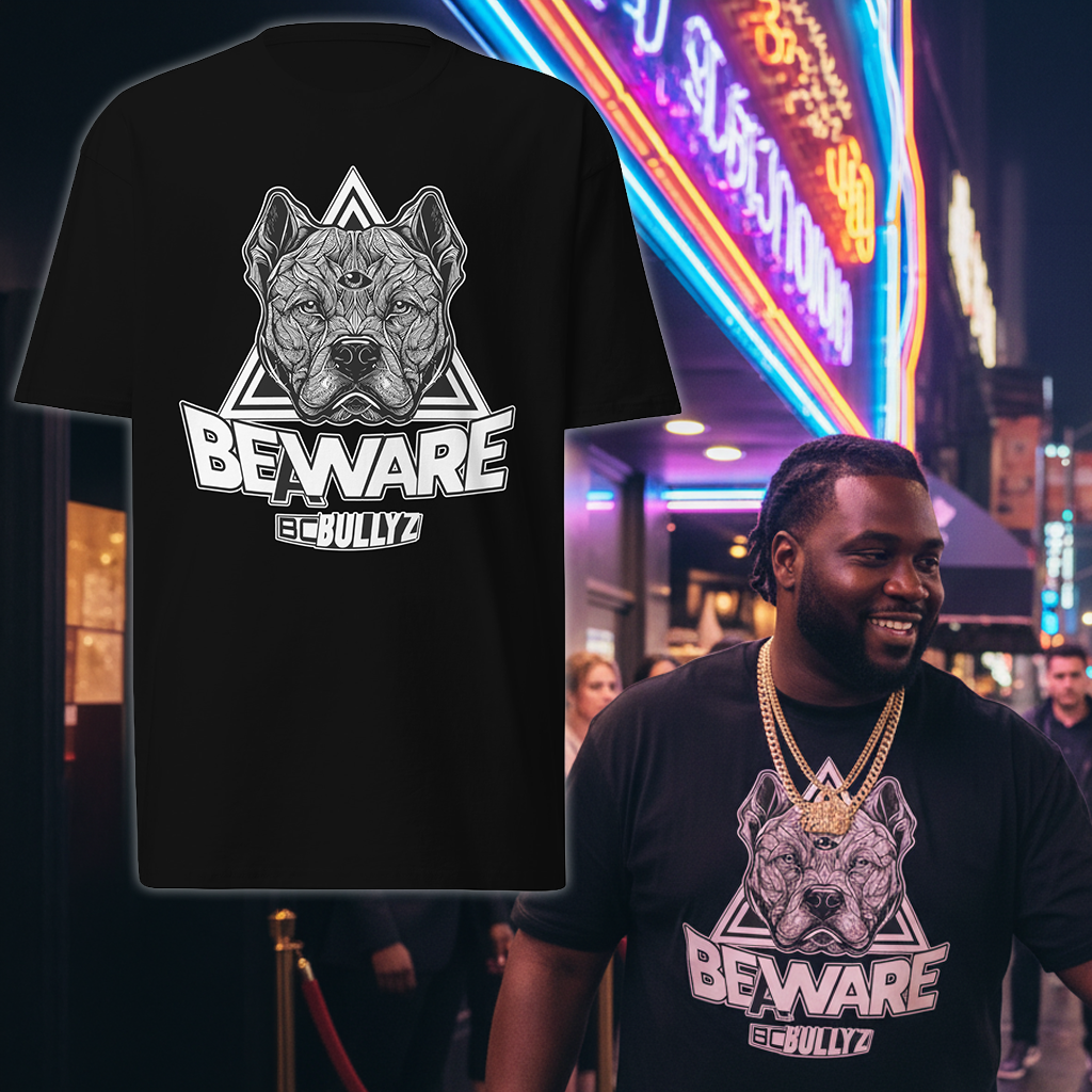 3rd Eye DeFi Premium Heavyweight Tee – Bullyz tshirt