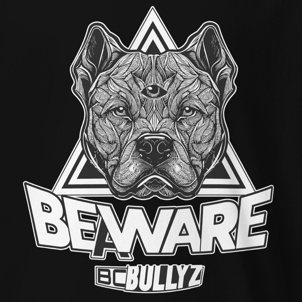 3rd Eye DeFi Premium Heavyweight Tee – dawg